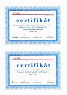 certifikat_msm