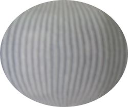 PONOZKY MAXIS BIO BAVLNA ZEBRO